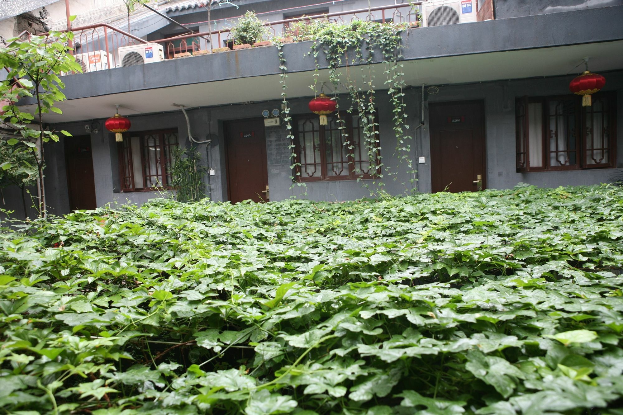 Shuyuan Youth Hostel Xi'An شيان المظهر الخارجي الصورة